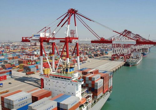 上海機場國際快遞進口報關與代理服務詳解